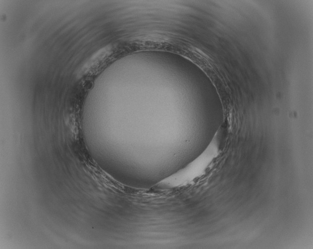 X0000076310774200610161618