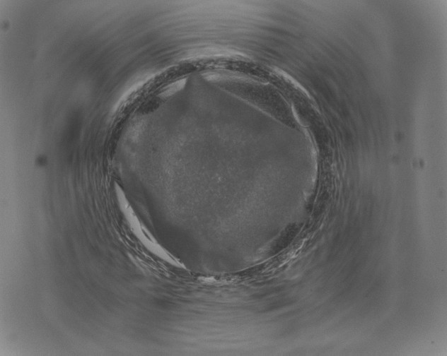 X0000076310775200610161618