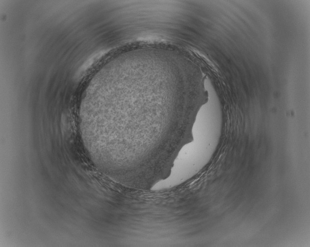 X0000076310776200610161618