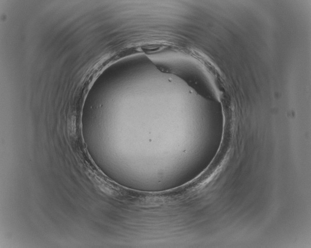 X0000076310777200610161618