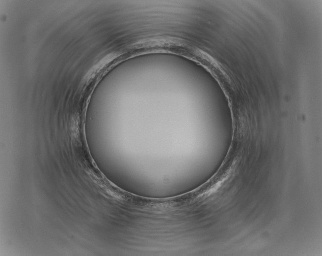 X0000076310778200610161618