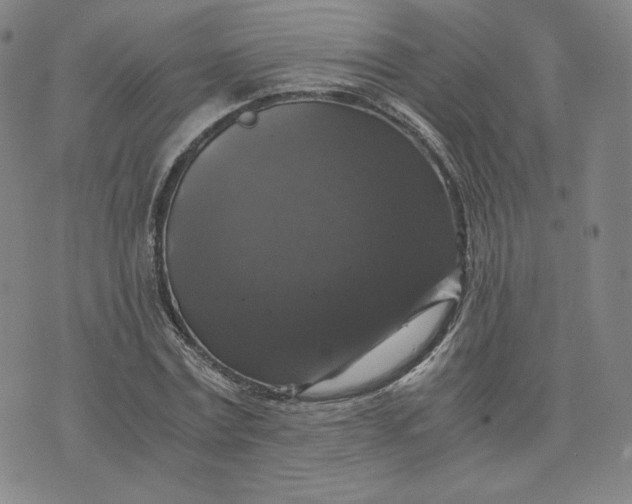 X0000076310779200610161618