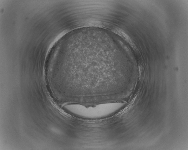 X0000076310780200610161618