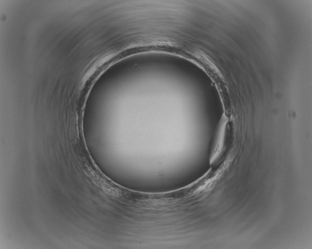 X0000076310781200610161618