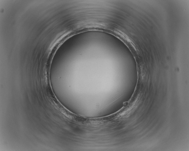 X0000076310782200610161618