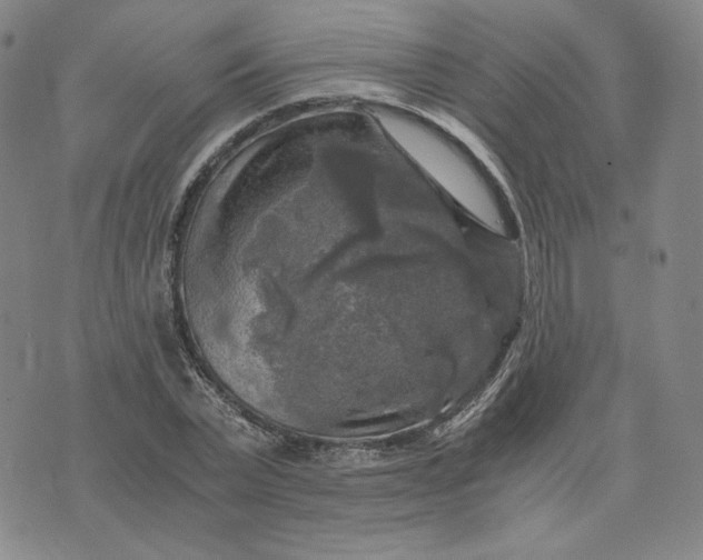 X0000076310783200610161618