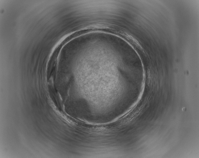 X0000076310784200610161617