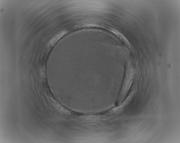 X0000076310785200610161617