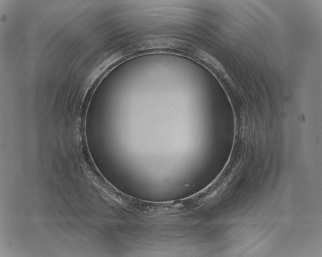 X0000076310786200610161617