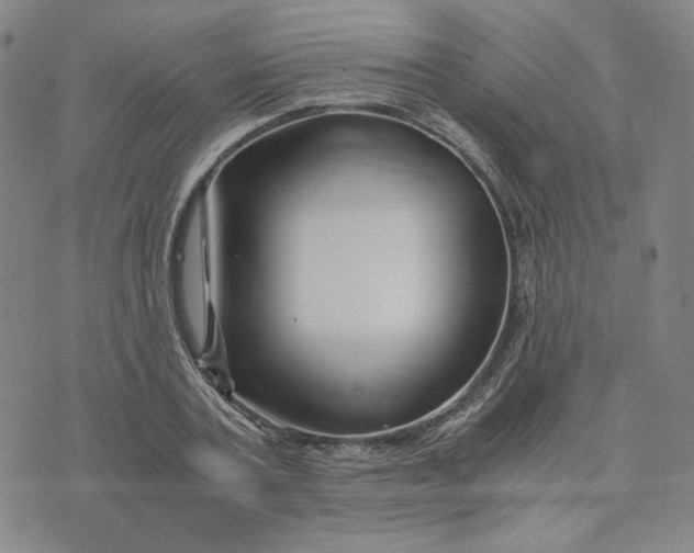 X0000076310787200610161617