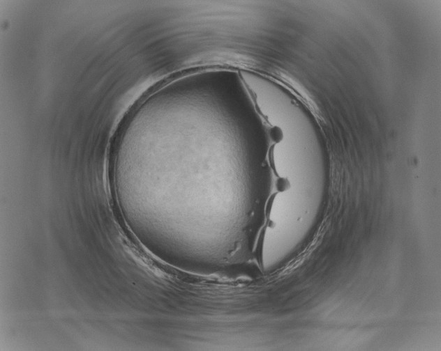 X0000076310788200610161617