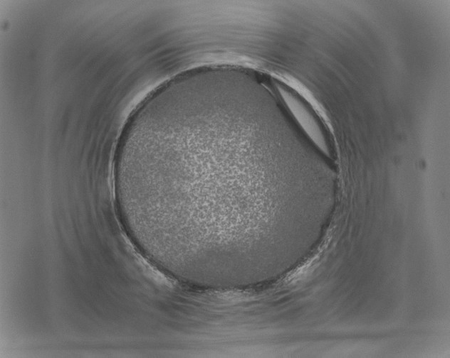 X0000076310791200610161617