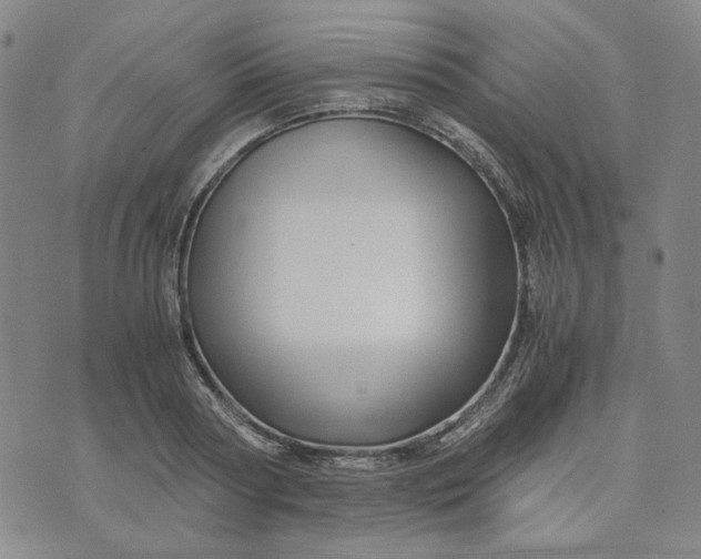 X0000076310794200610161617