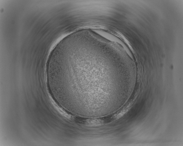 X0000076310795200610161617