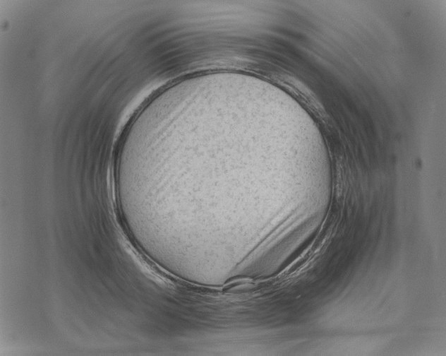 X0000076310796200610161617