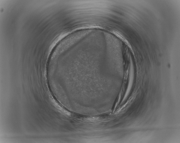 X0000076310797200610161617