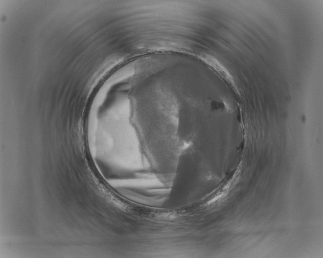 X0000076310798200610161617