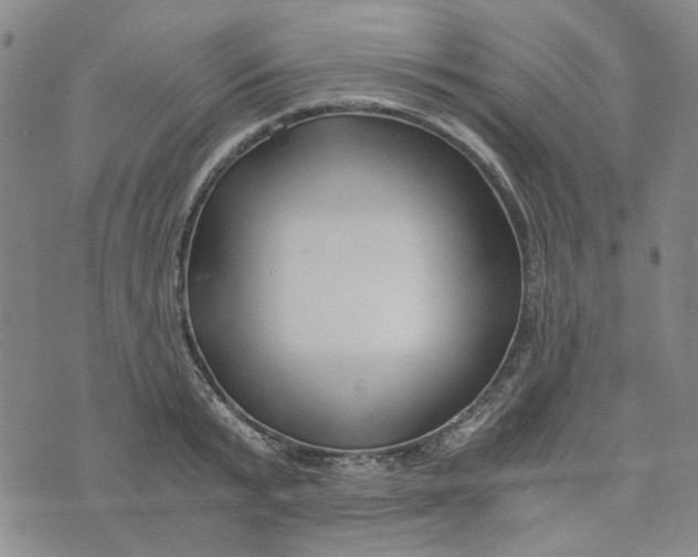 X0000076310799200610161617