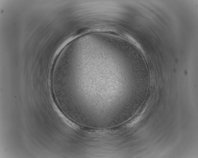 X0000076310803200610161617