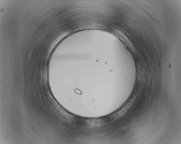 X0000076310804200610161617