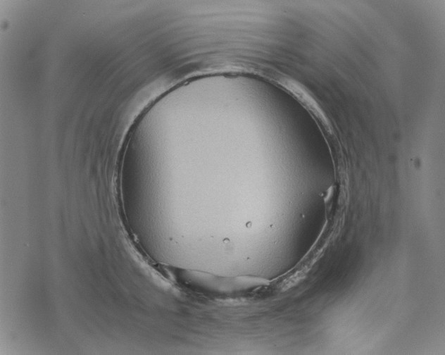 X0000076310805200610161617