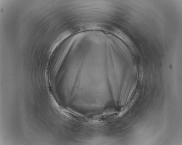 X0000076310806200610161617