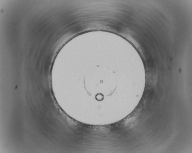 X0000076310807200610161617