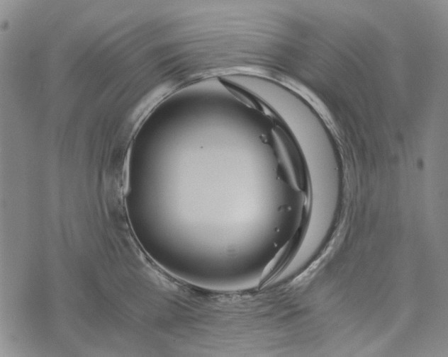 X0000076310809200610161617