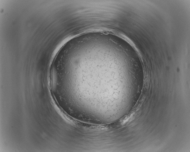 X0000076310811200610161617