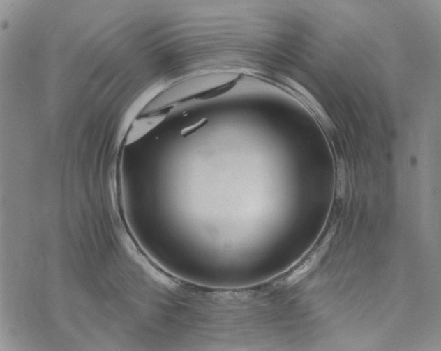 X0000076310812200610161617