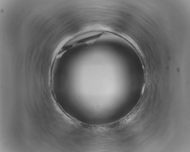 X0000076310815200610161617