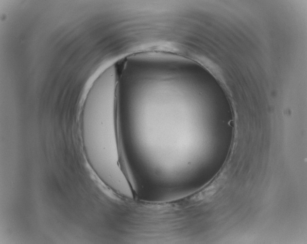 X0000076310816200610161617