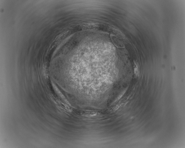 X0000076310819200610161616