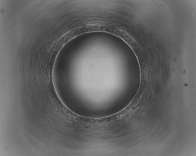 X0000076310821200610161616