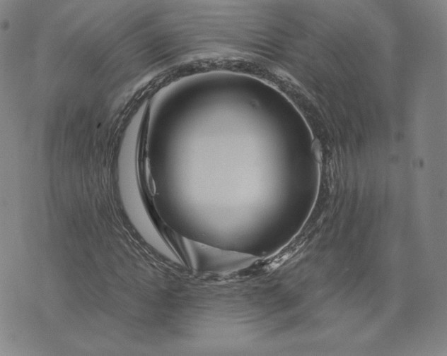 X0000076310822200610161616