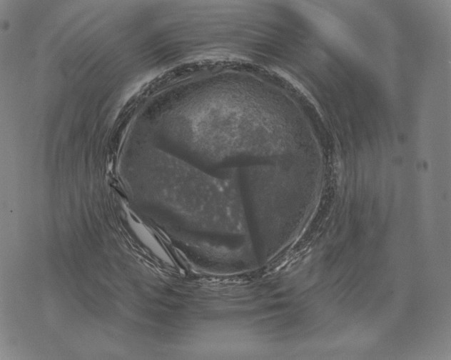 X0000076310823200610161616