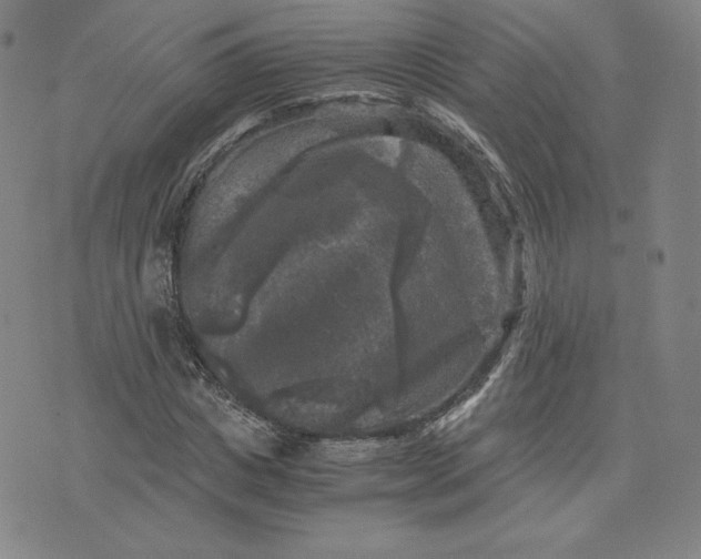 X0000076310825200610161616