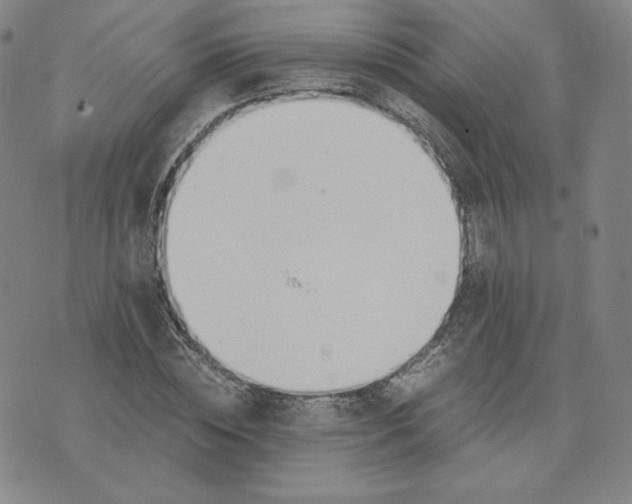 X0000076310828200610161616