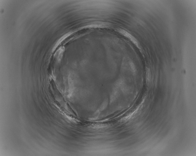 X0000076310829200610161616