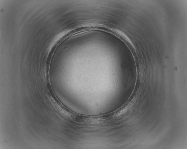 X0000076310831200610161616