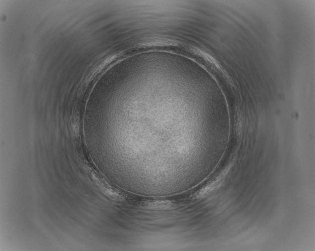 X0000076310833200610161616