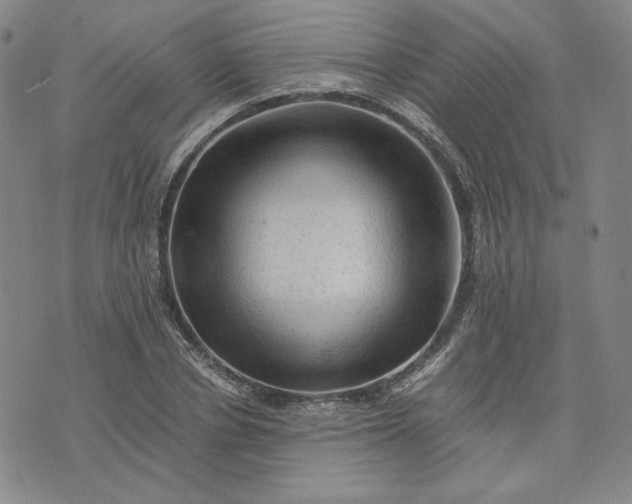 X0000076310834200610161616