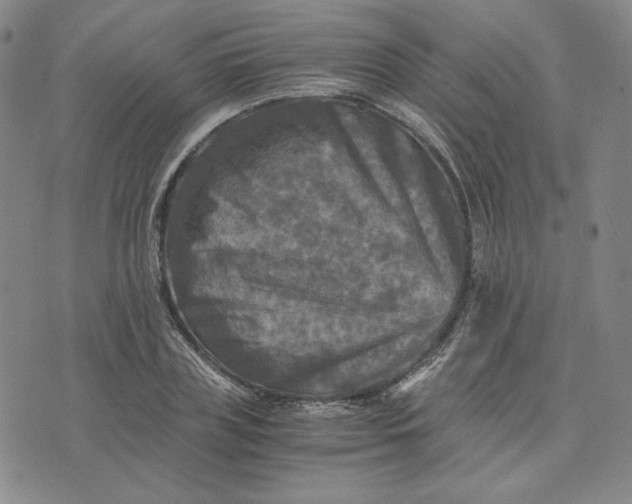 X0000076310835200610161616