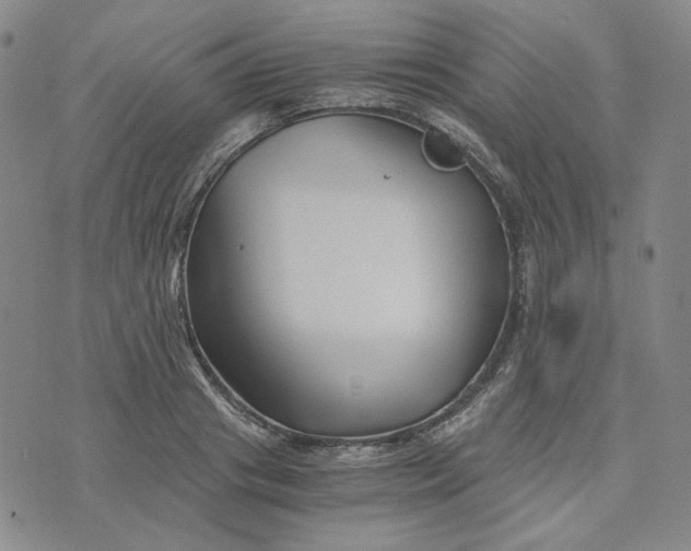 X0000076310841200610161617