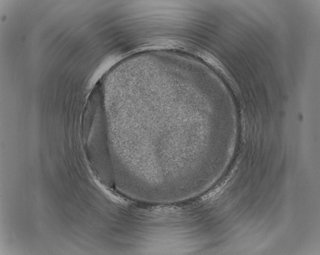 X0000076310842200610161617