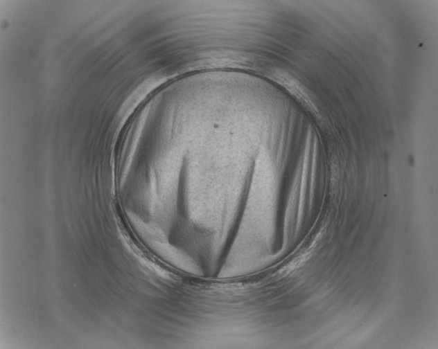 X0000076310844200610161617