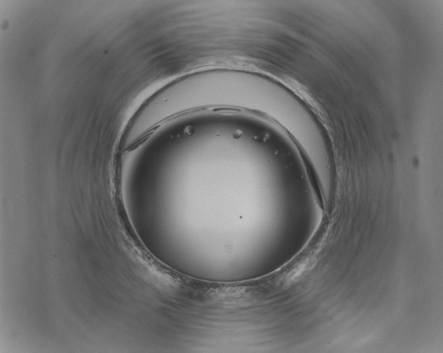 X0000076310846200610161617