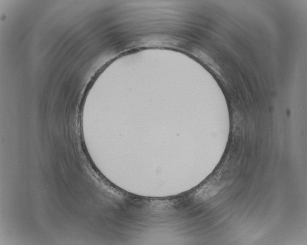 X0000076310848200610161617