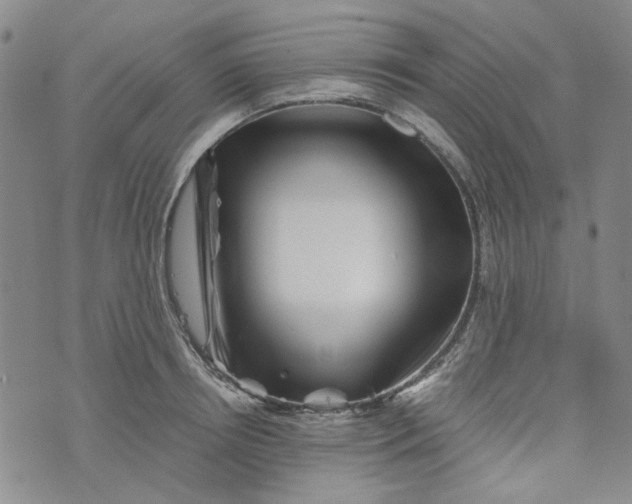 X0000076310850200610161617