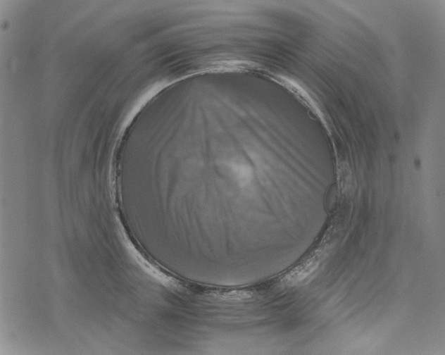 X0000076310851200610161617